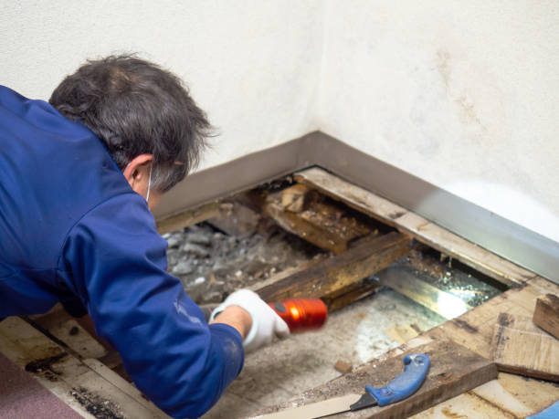Crawl Space Mold Removal in Broad Brook, CT