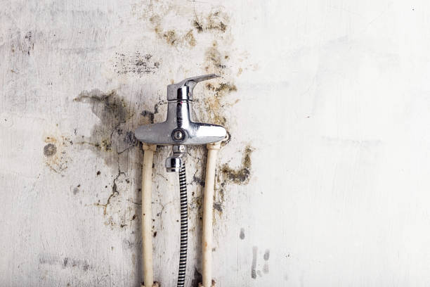 Certified Mold Removal in Broad Brook, CT