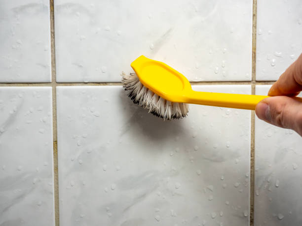 Best Residential Mold Removal  in Broad Brook, CT