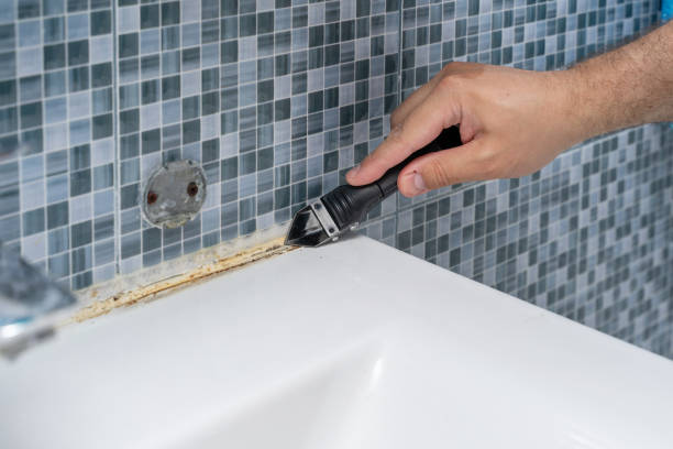 Best Mold Cleaning Services  in Broad Brook, CT